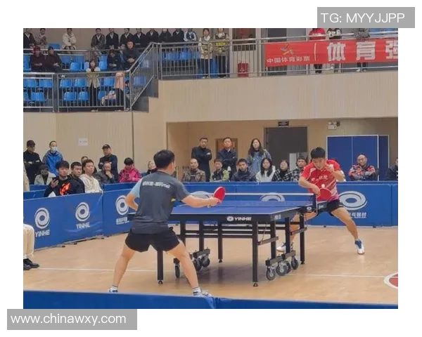 杭州乒乓球队区域防守策略分析及其在比赛中的成效与不足探讨