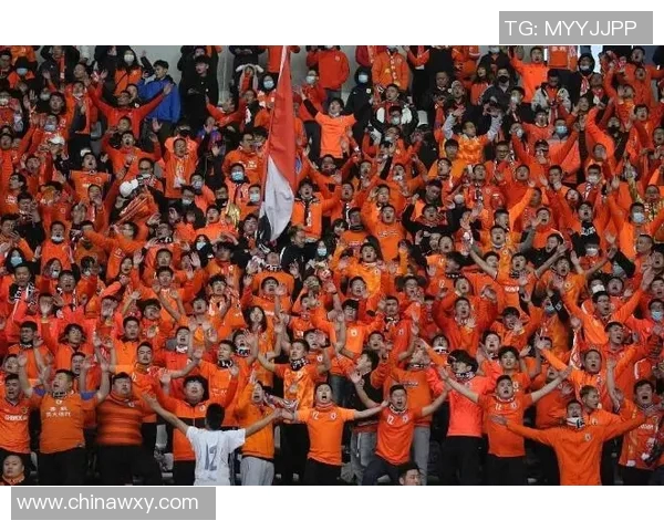 北京足球队配合实力飙升创新高排名引发球迷热议