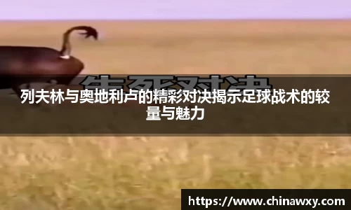 完美体育